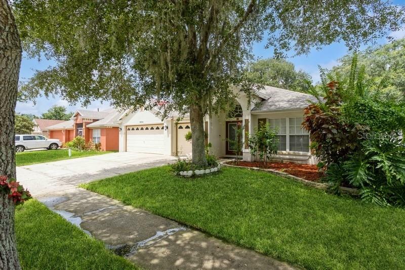 Property Photo:  10538 San Travaso Drive  FL 33647 