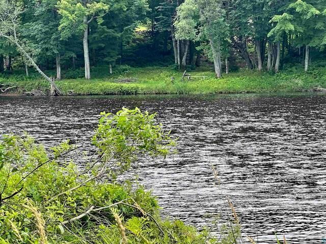 Property Photo:  Xxx Chippewa Tr  WI 54867 