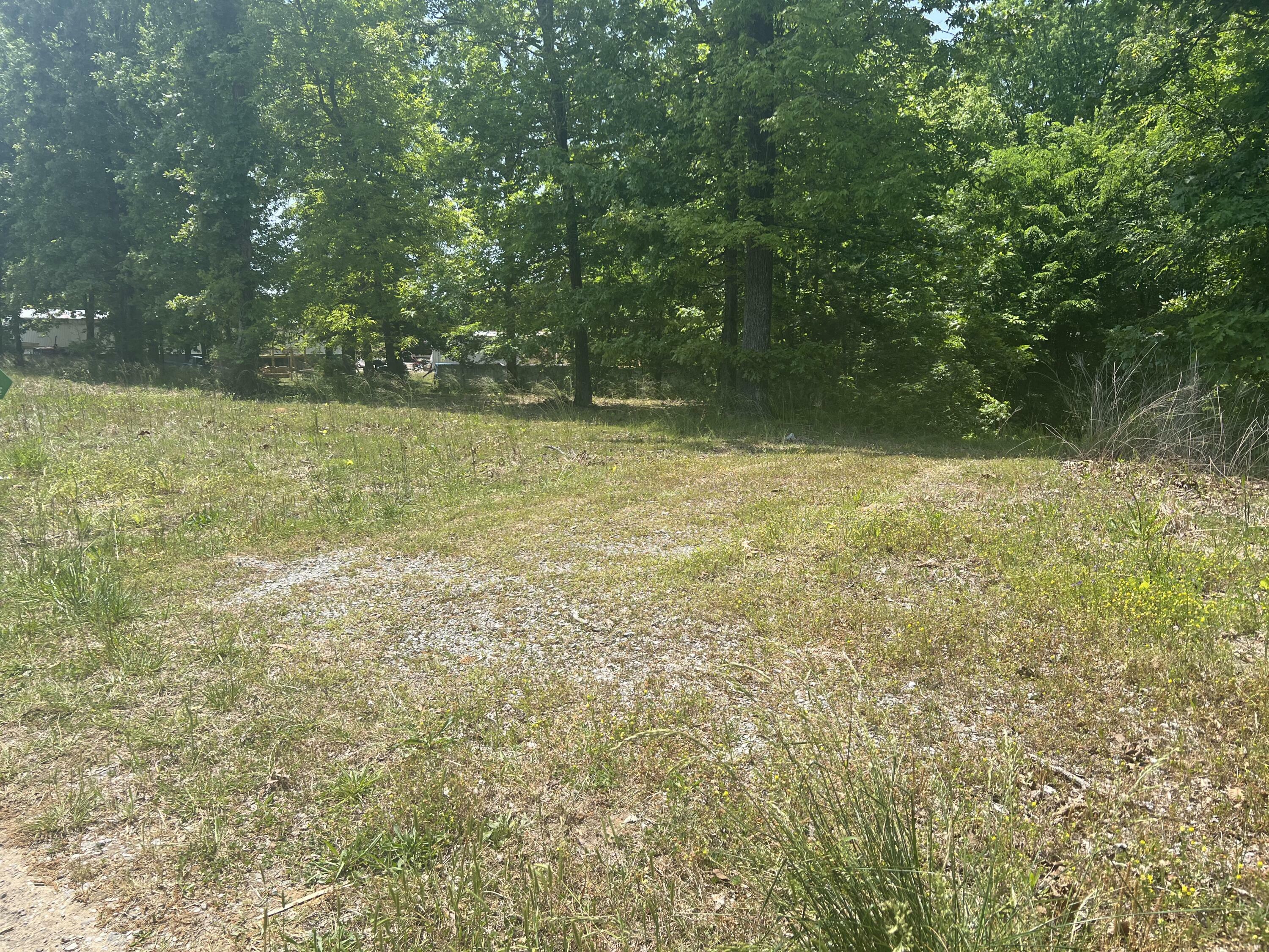 Property Photo:  0 Prince Road  GA 30752 