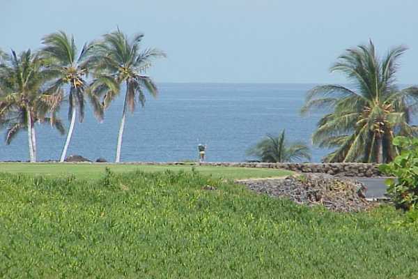 Property Photo: 68-1303 Kaniku HI 96743