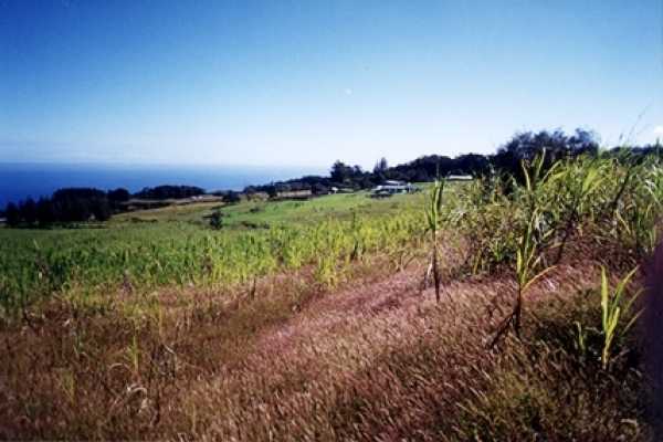 Property Photo:  Kalopa Mauka Road  HI 96727 