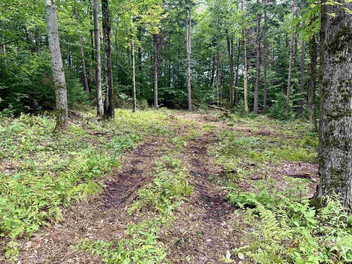 Property Photo:  00 Knolls Road  VT 05674 