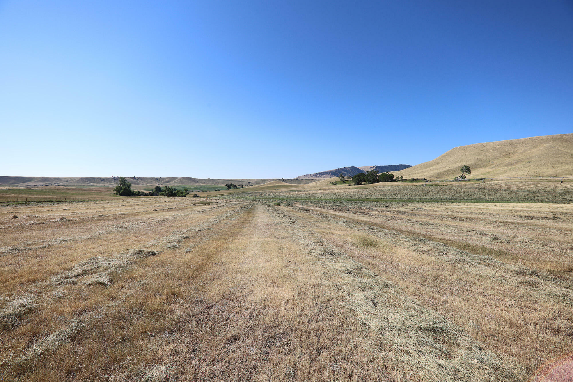 Property Photo:  40 Hopkins Divide Loop  WY 82834 