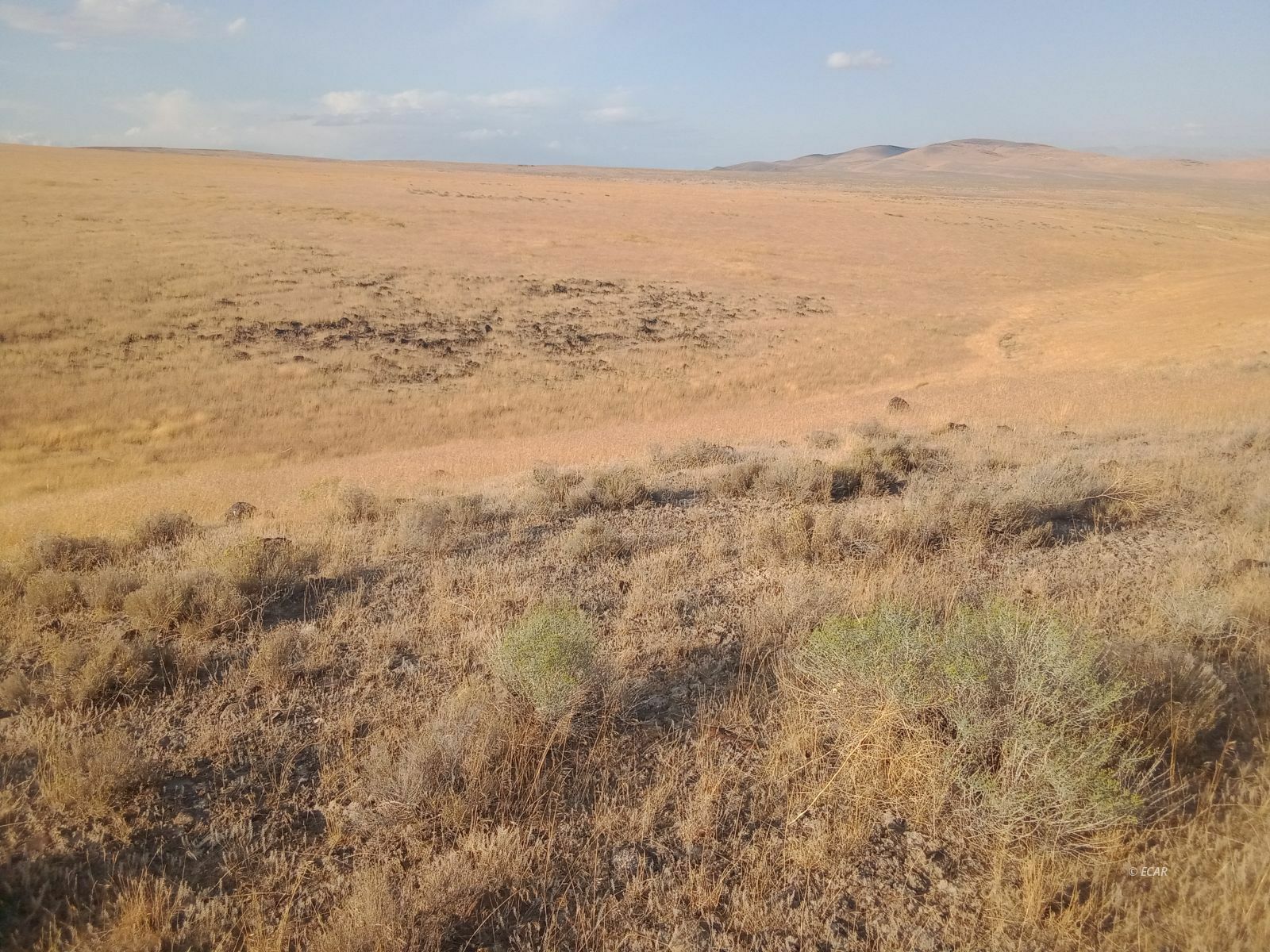 Property Photo:  01055011 Battle Mountain Road Special  NV 89820 