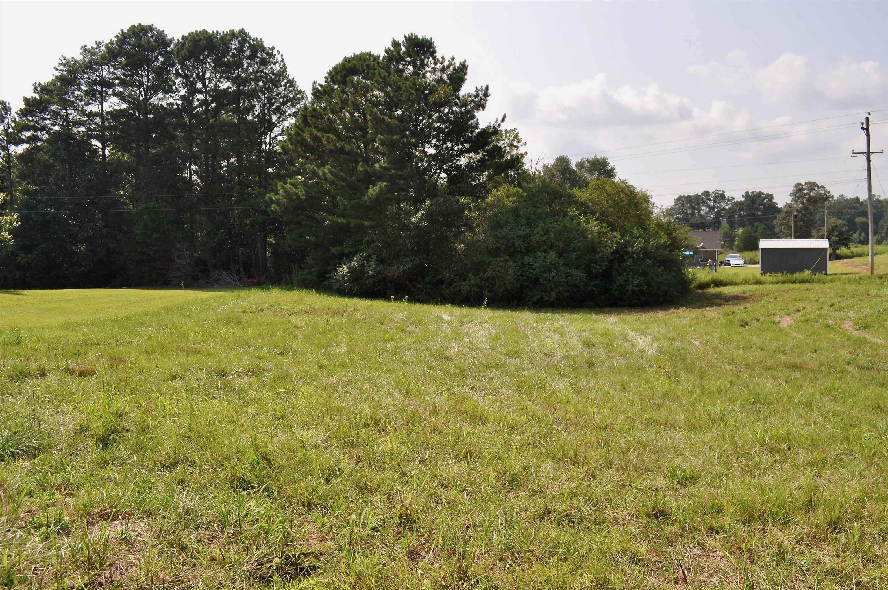 Property Photo:  Lot 7 Tiffani Dr  AL 35058 - CULLMAN 