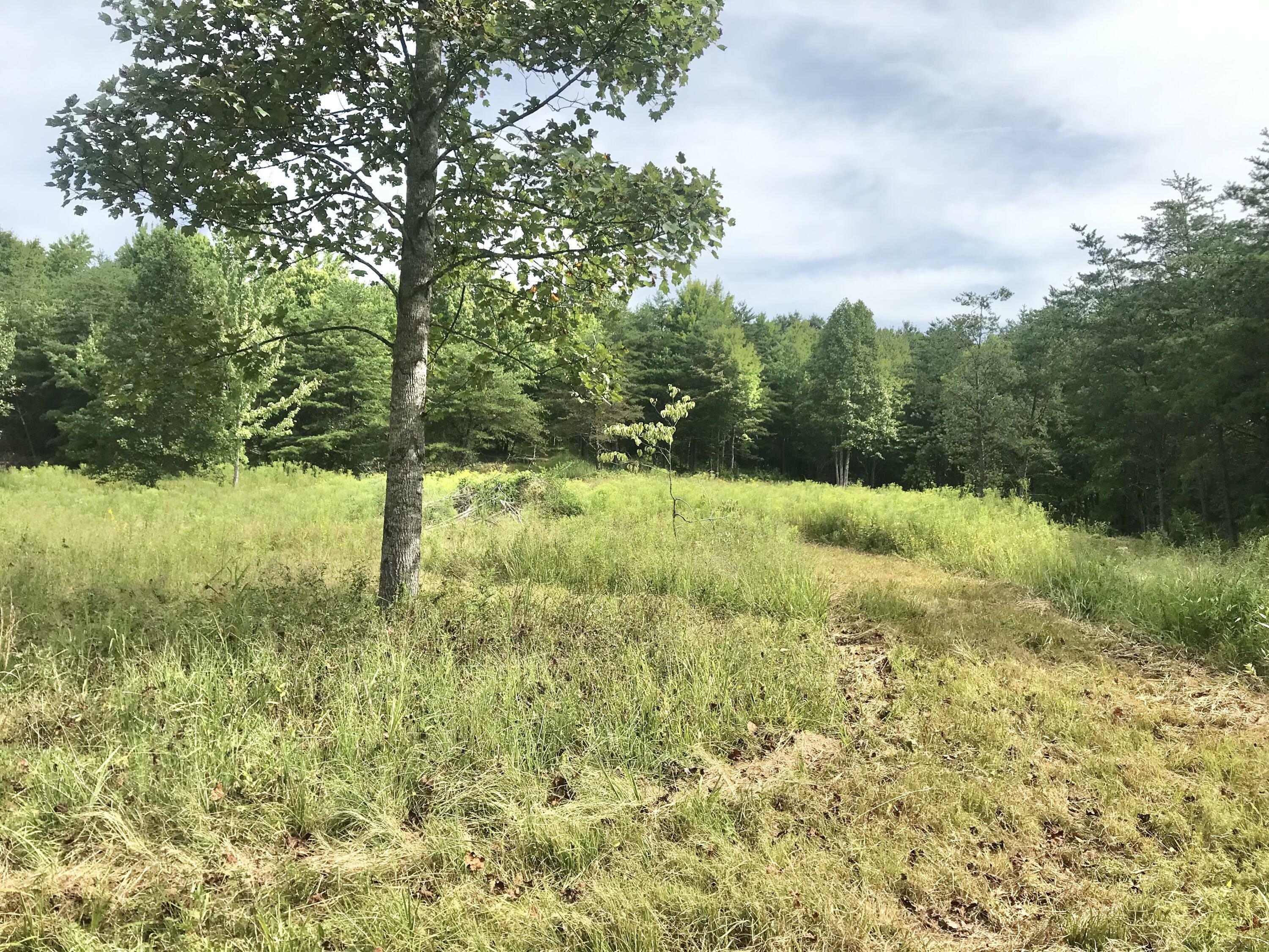 Property Photo:  147 Hanshaw Road Acres Land 147 Acres Land  KY 41164 