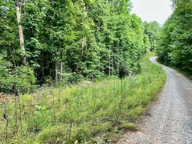 Property Photo:  10 Ac Ralston Creek Trail  GA 30536 