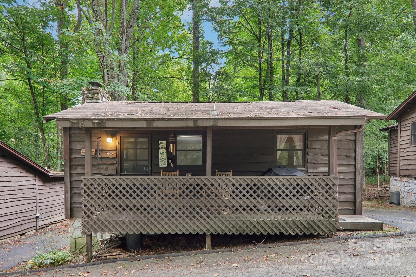 Property Photo:  45 Sassafras Lane  NC 28751 