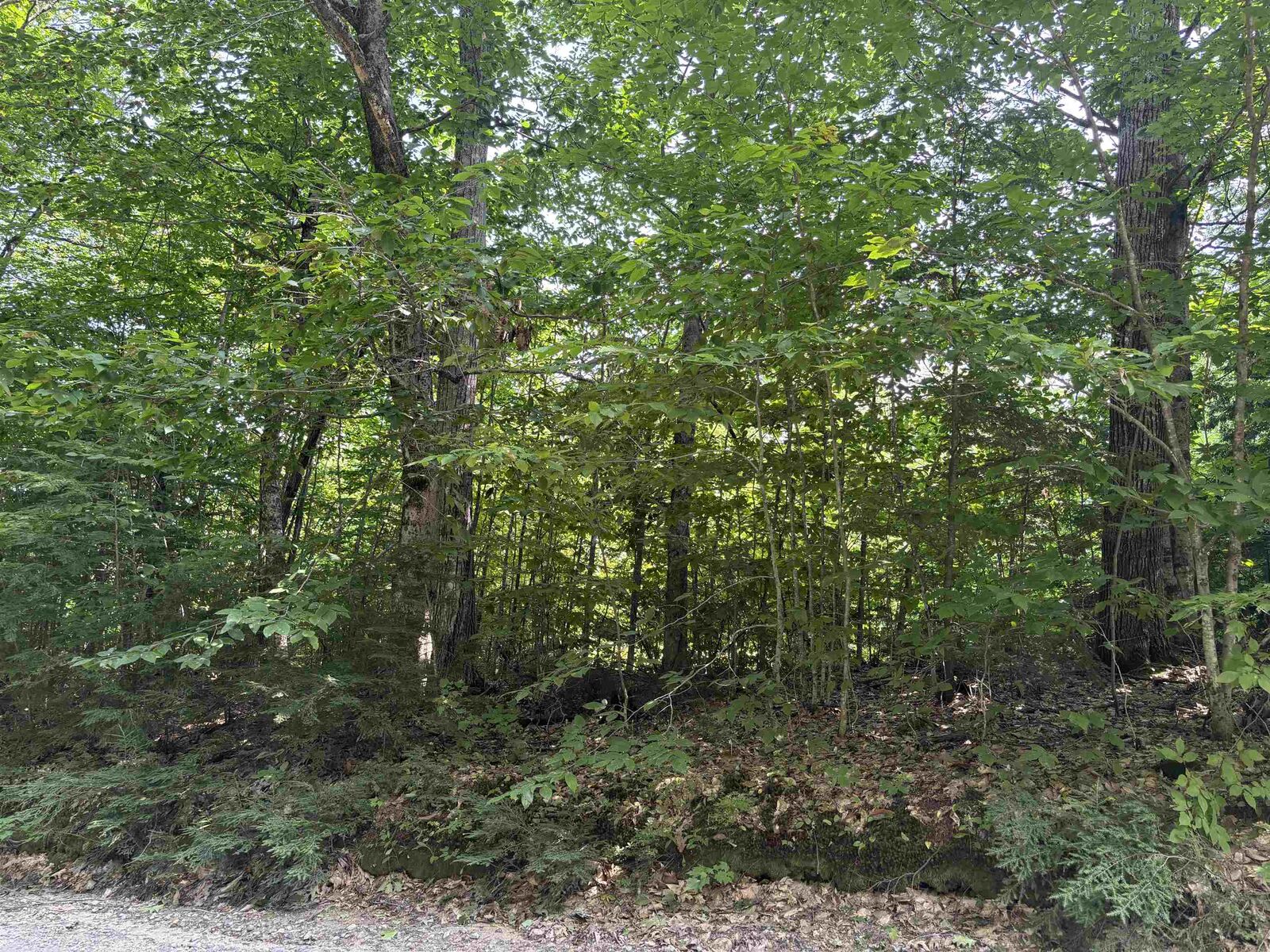 Property Photo:  Lot 47 Dick Brown Road  NH 03222 