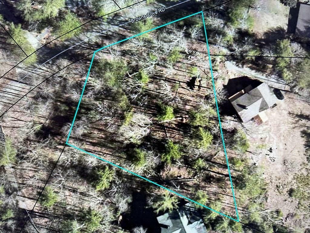 Property Photo:  Lot 4 Browns Cove Road  GA 30513 