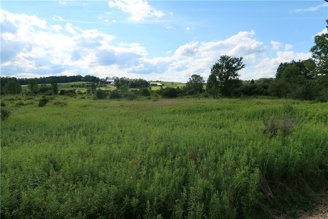 Lot 2 German Road  Willet NY 13863 photo