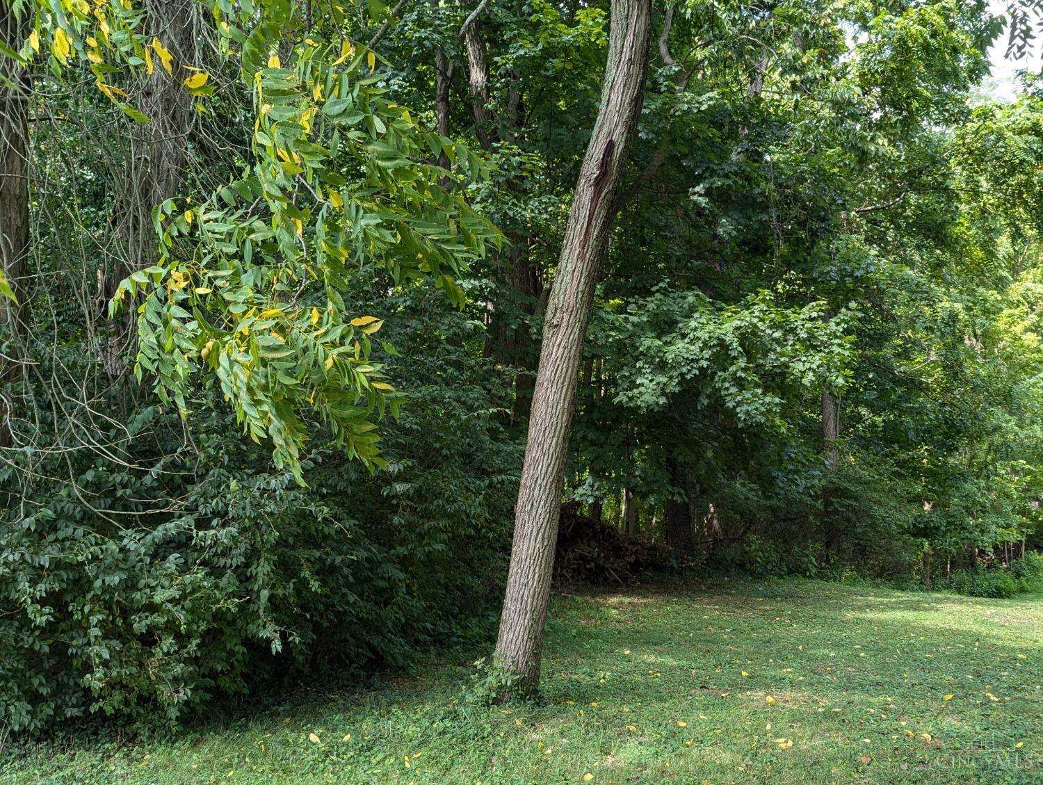 Property Photo:  7748 State Road  OH 45255 