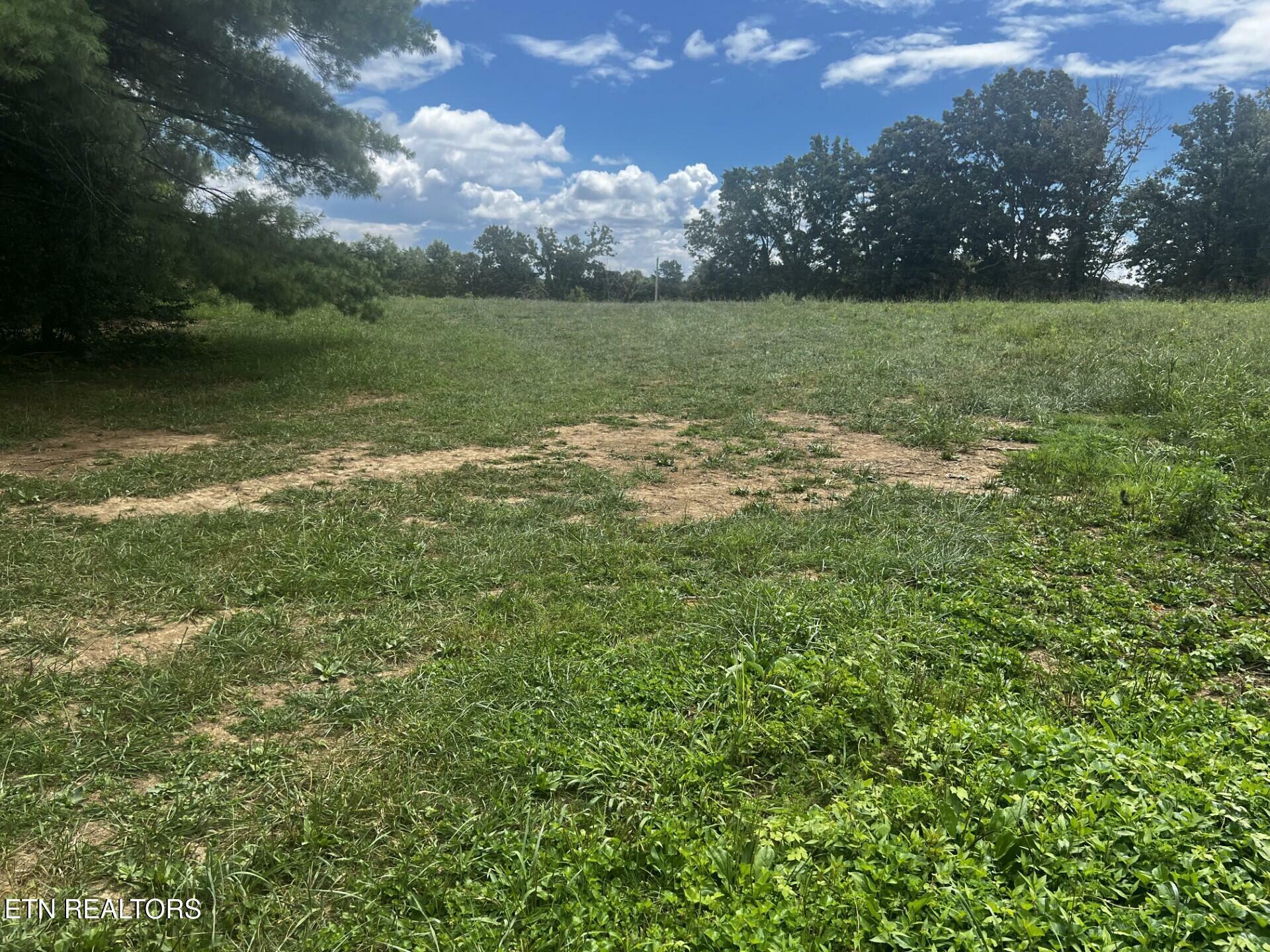 Property Photo:  202 Copenhaver Rd  TN 37771 