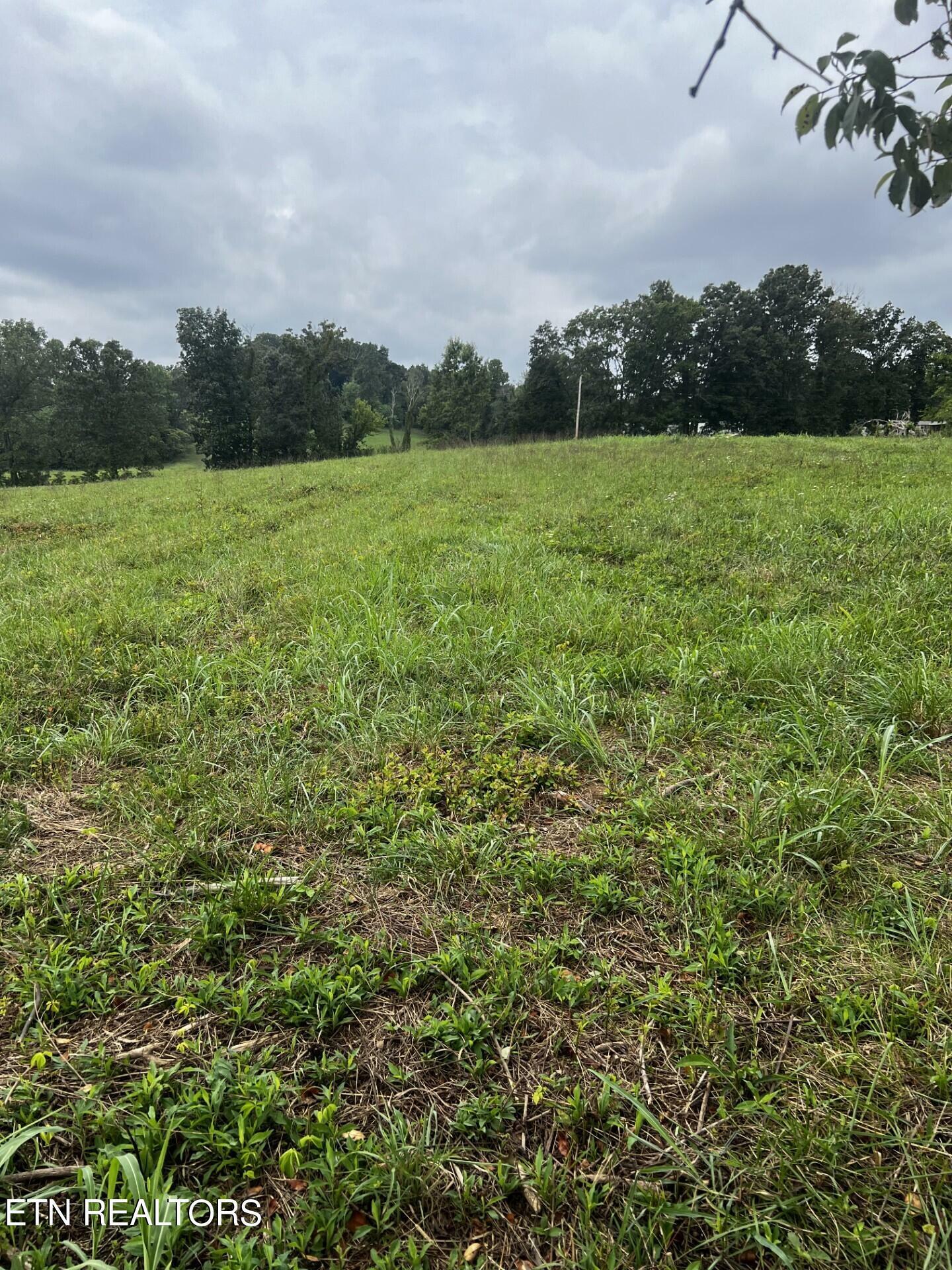 Property Photo:  178 Copenhaver Rd  TN 37771 