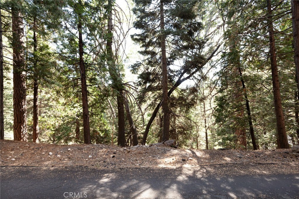 Property Photo:  27336 N Bay Road  CA 92352 