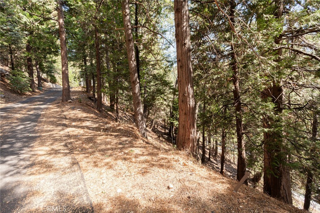 Property Photo:  27336 N Bay Road  CA 92352 