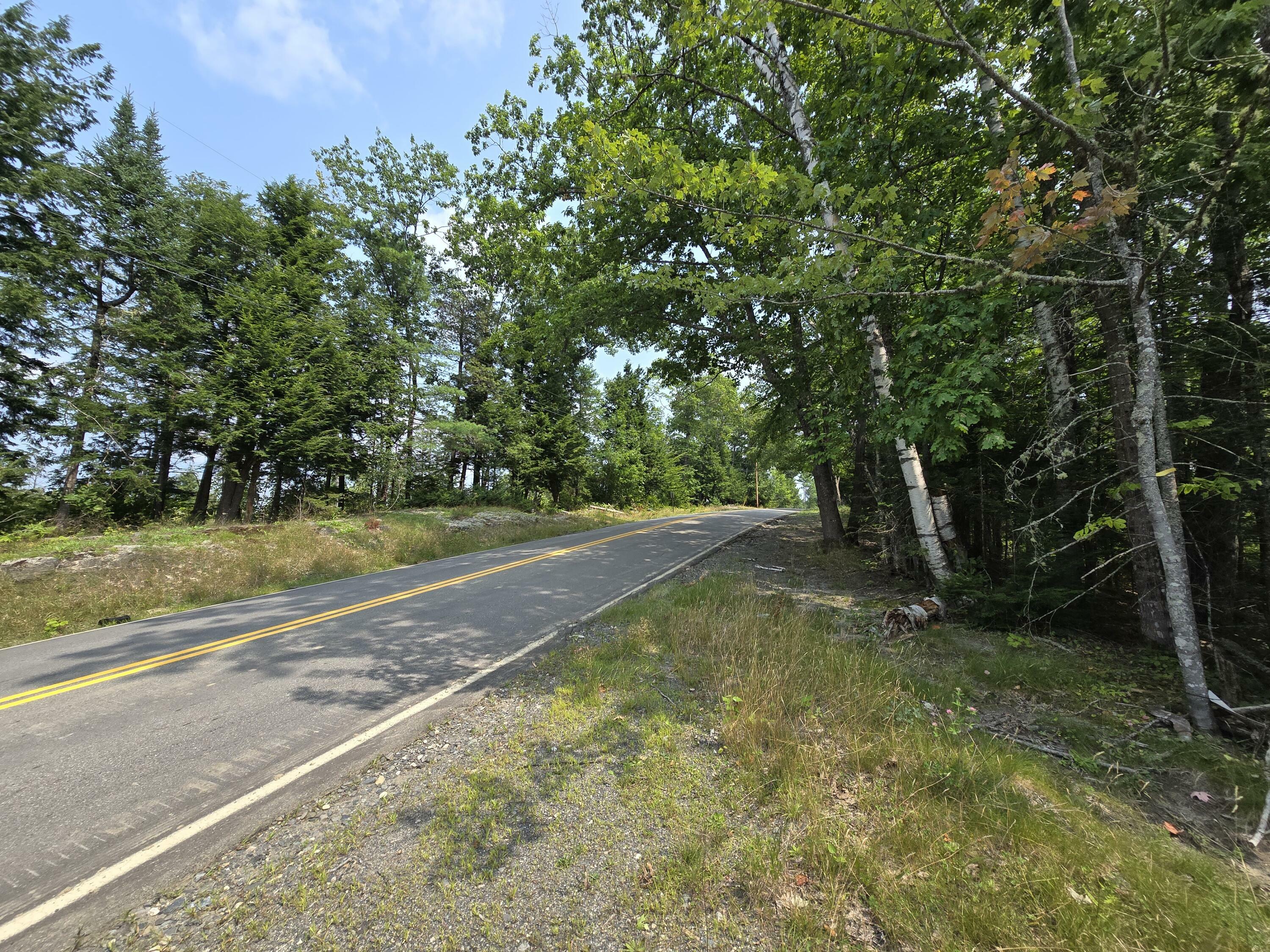 Property Photo:  Lot 9 Bear Brook Subdivision  ME 04481 