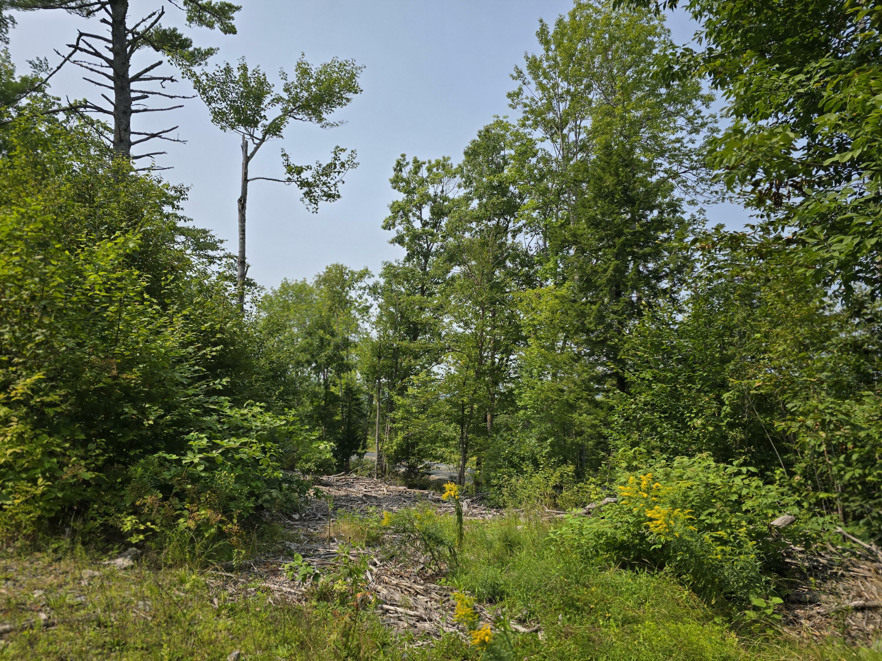 Property Photo:  Lot7 Bear Brook Subdivision  ME 04481 