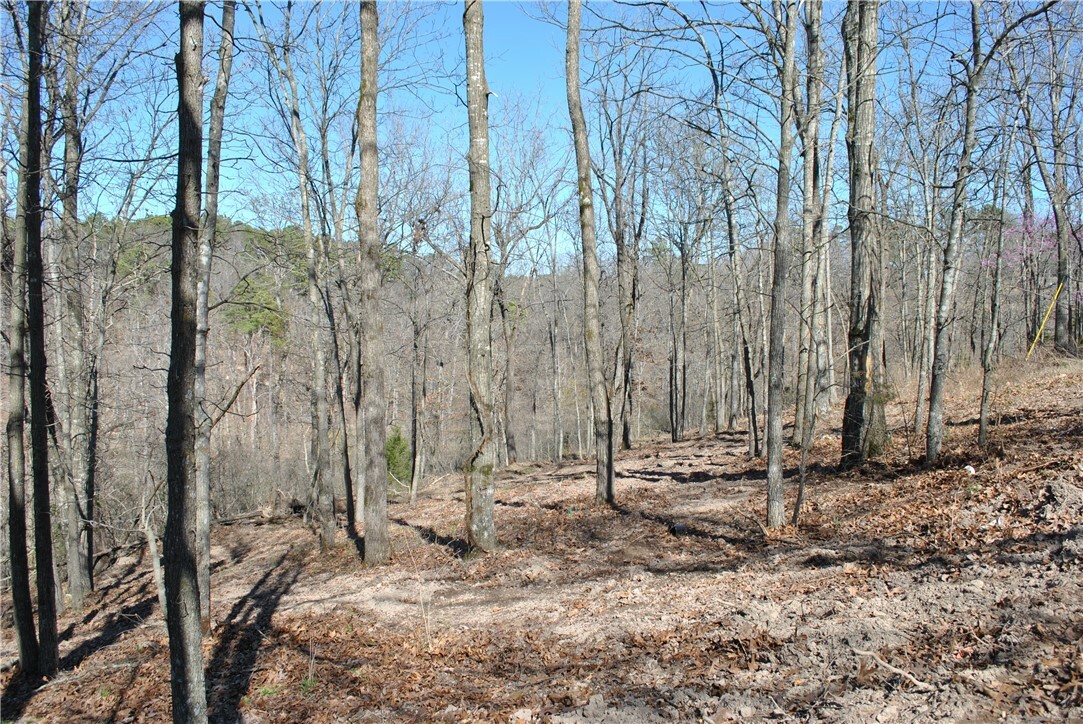 Property Photo:  Lot 101 E Robin Road  AR 72756 