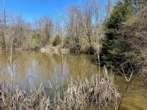 Cr 905  Green Forest AR 72638 photo