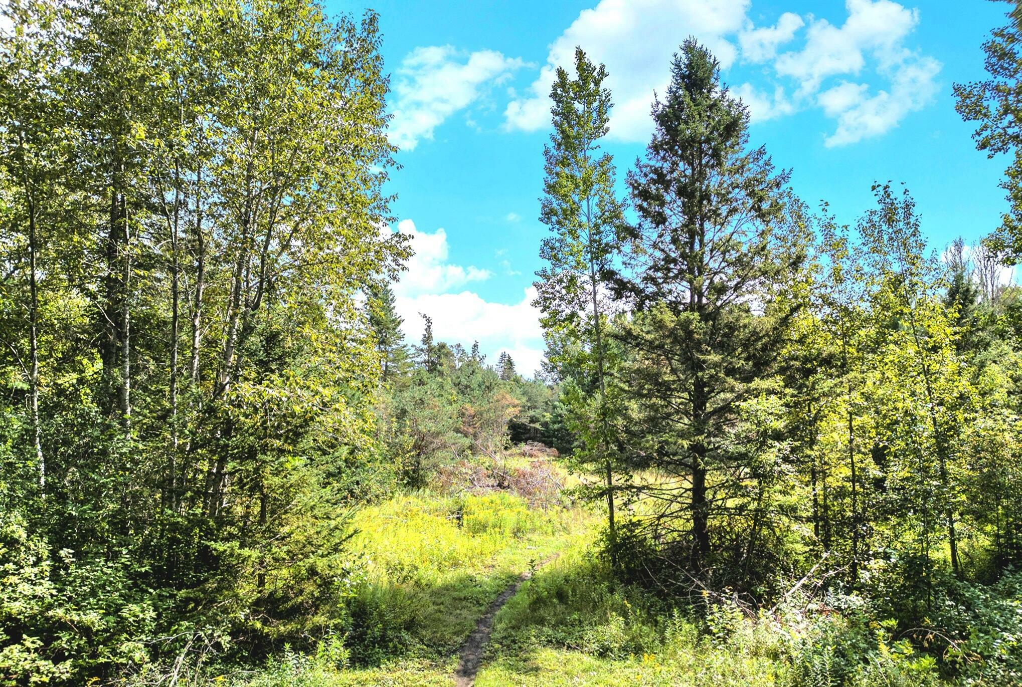 Property Photo:  Lot 1 E State Street 10.82 Ac  MI 49721 