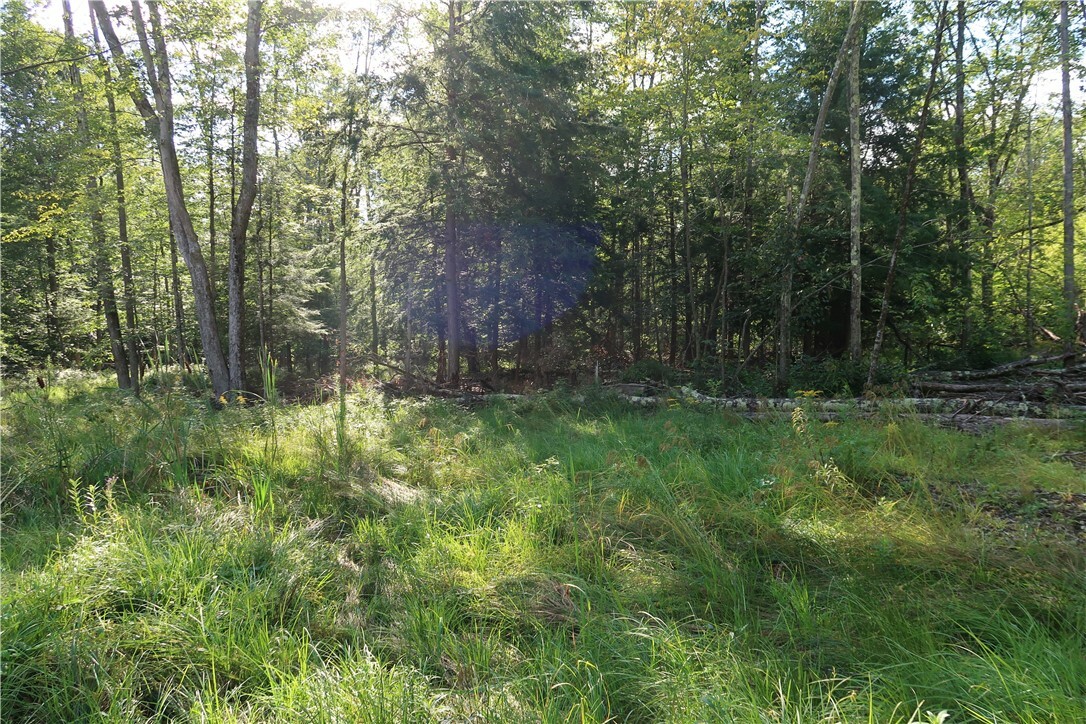 Property Photo:  Lot 7 German Road  NY 13863 