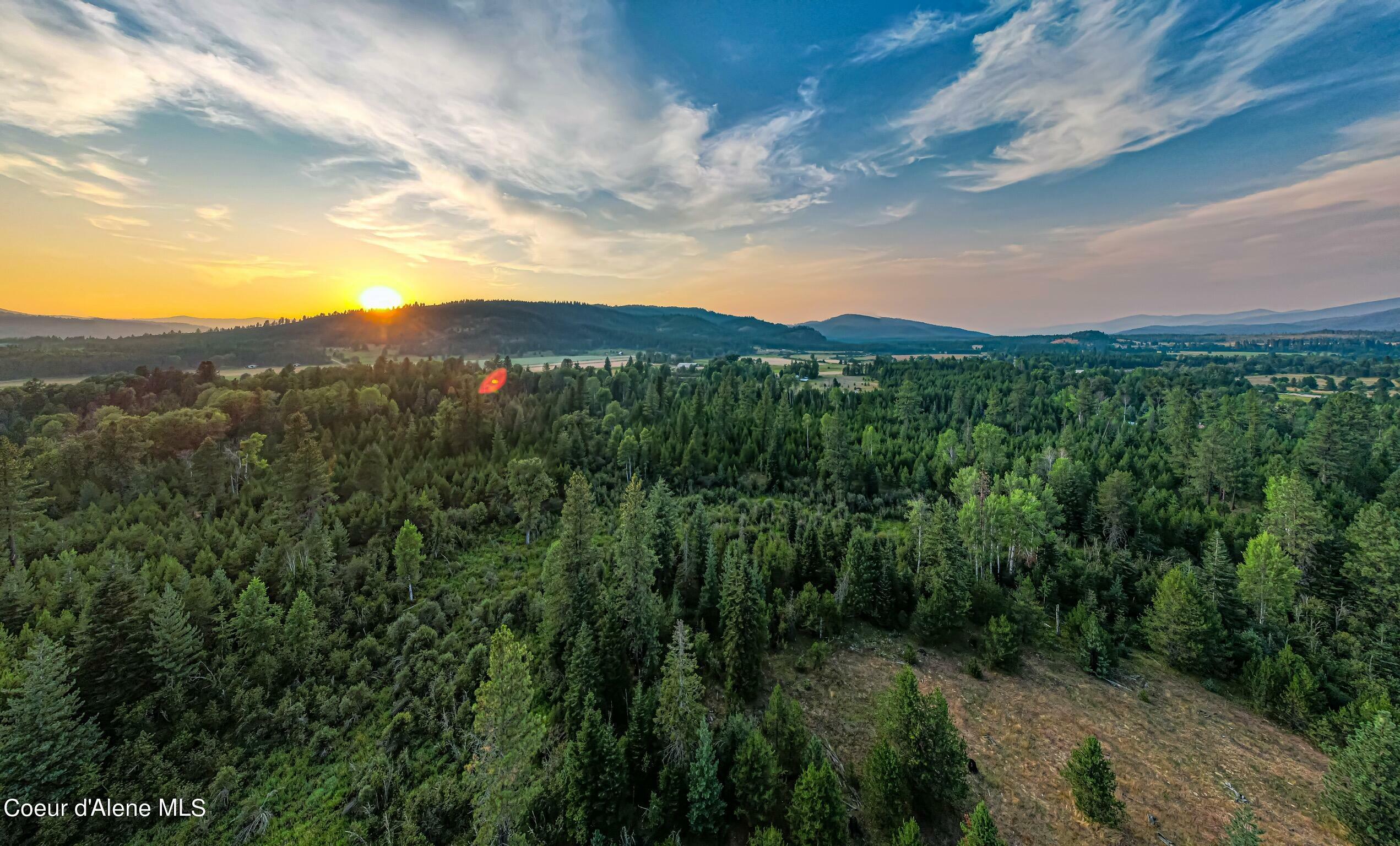 79.5 Acres W Peninsula Rd  Priest River ID 83856 photo