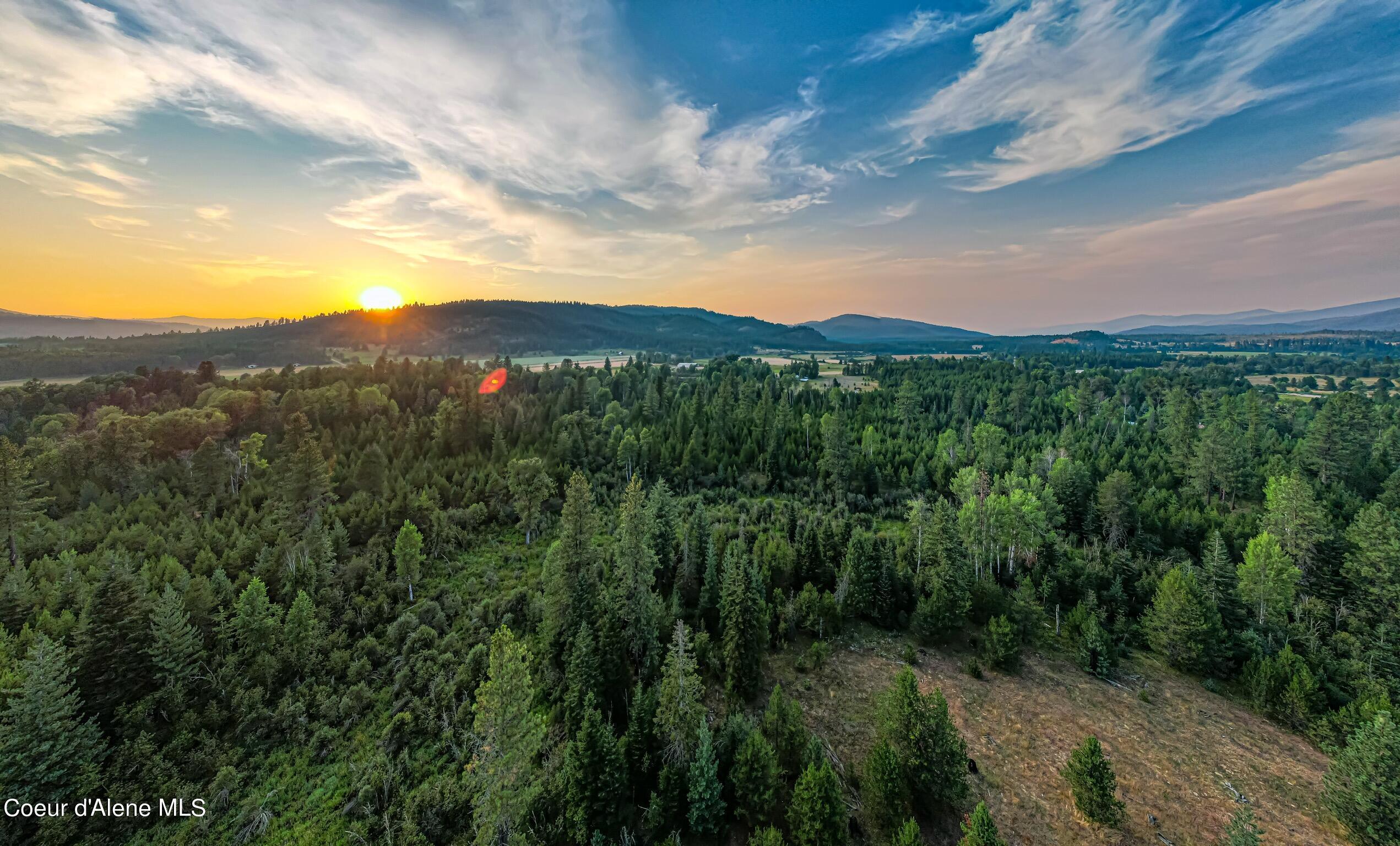 Nka W 50 Acres Peninsula Rd  Priest River ID 83856 photo