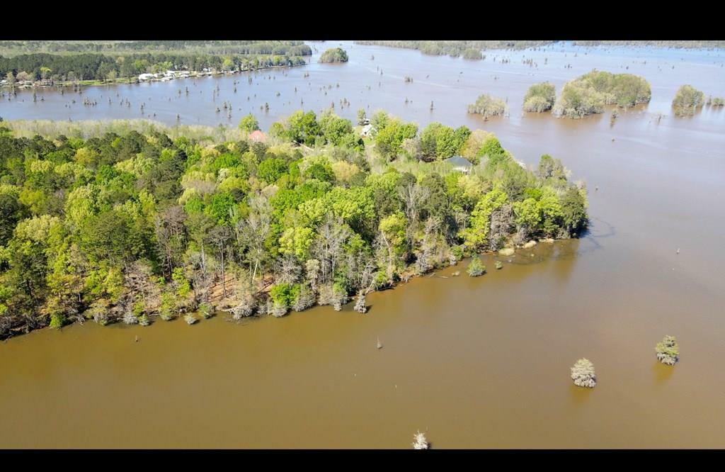 N A Lot 2 - Sawdust Ln  Cobb GA 31735 photo