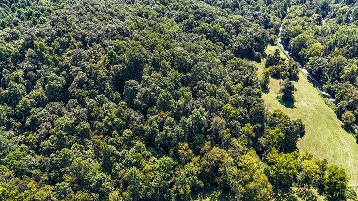 Property Photo: 0 Straight Creek Rd TN 37183
