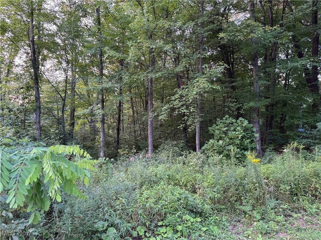 Property Photo: Booth Road OH 44266