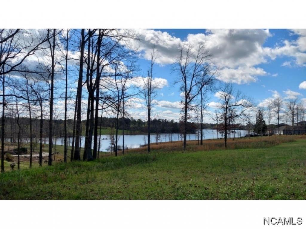 Property Photo:  Lot 15 Loch Dr  AL 35055 - CULLMAN 