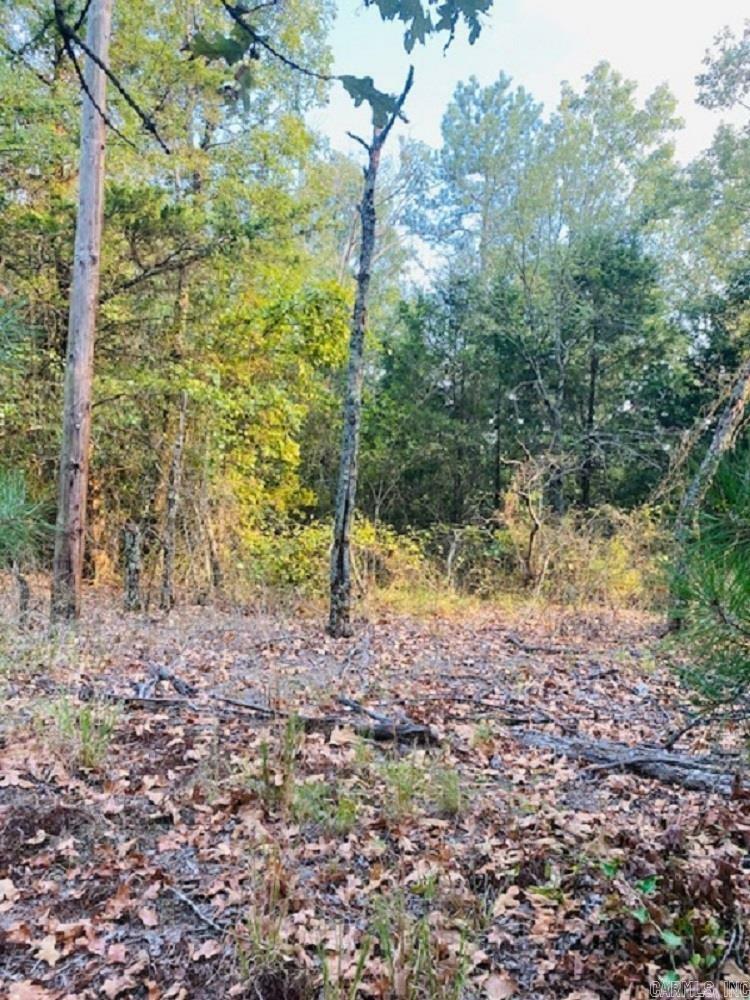 Property Photo:  Unk Polk Road 679  AR 71953 