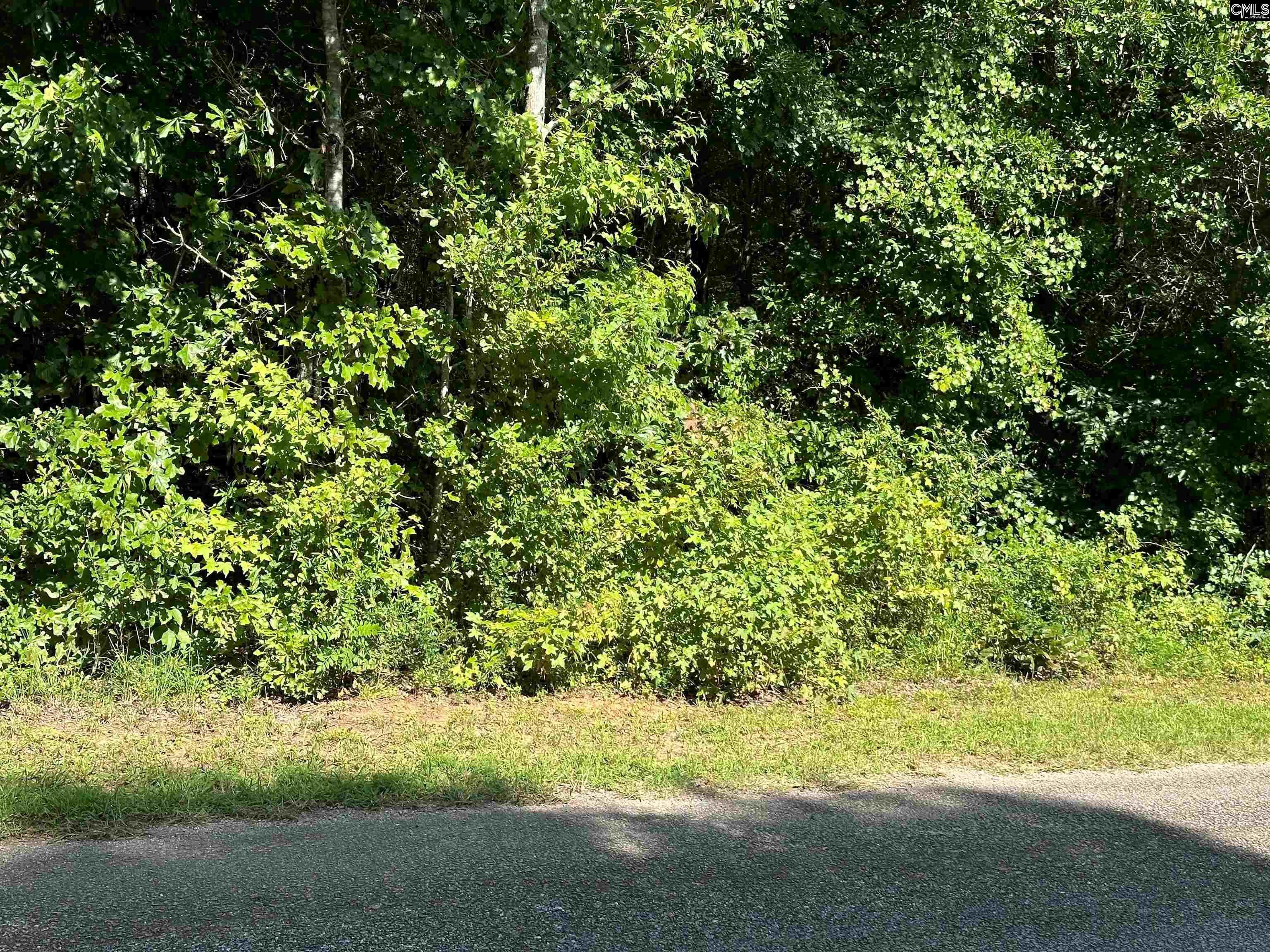 Property Photo: Hoover SC 29130