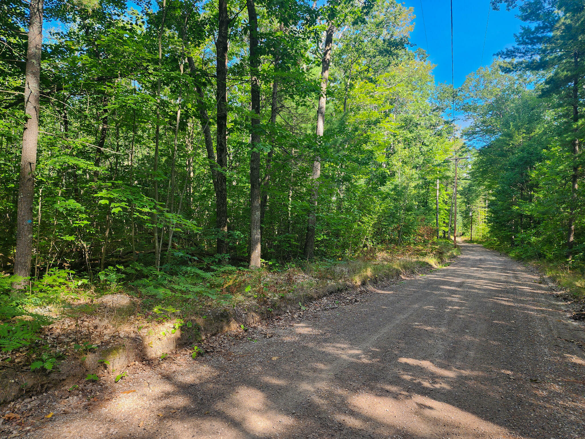 Property Photo:  Newell Avenue  MI 49791 