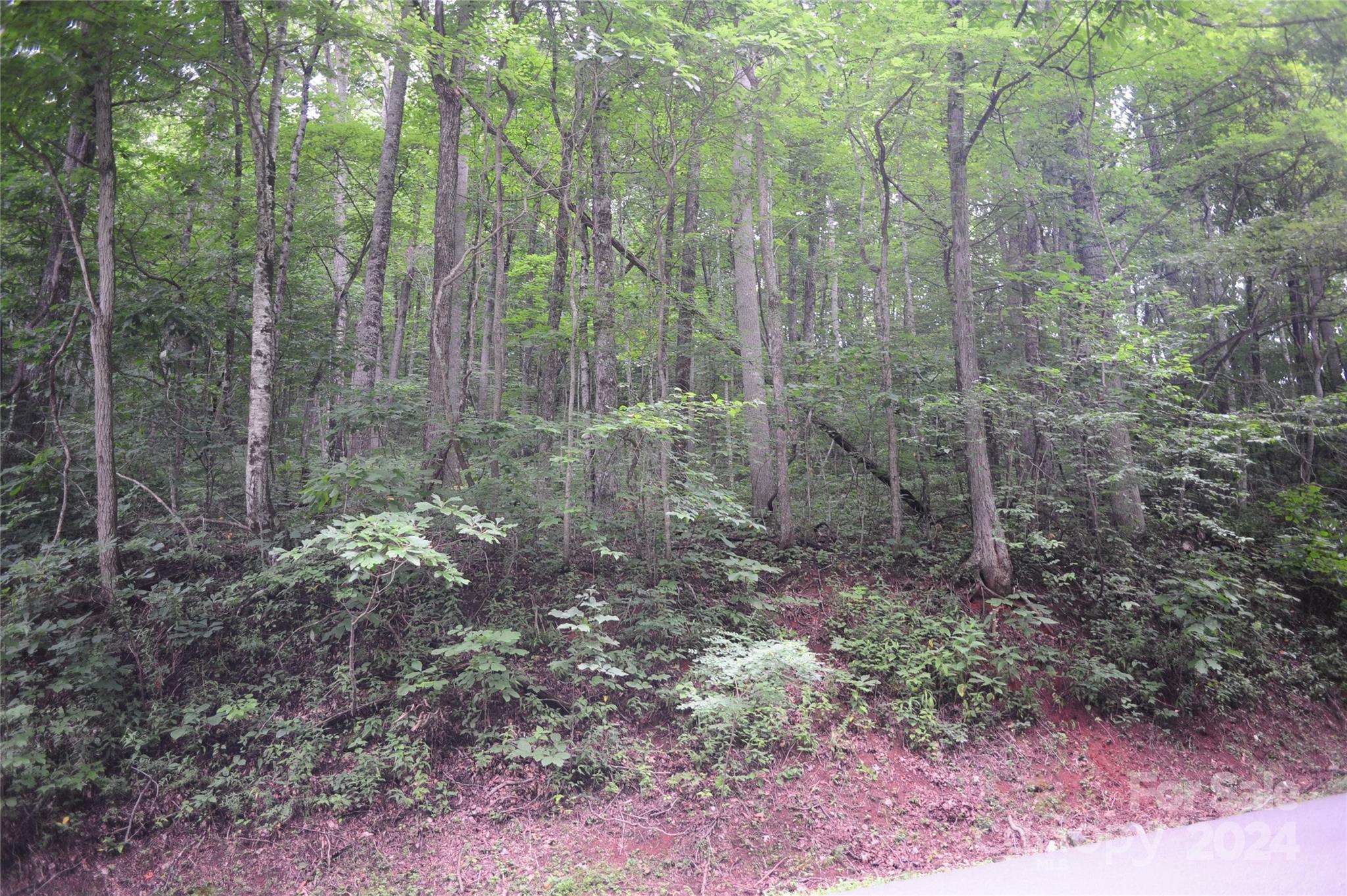 132 Ironwood Lane #C17/C18  Black Mountain NC 28711 photo