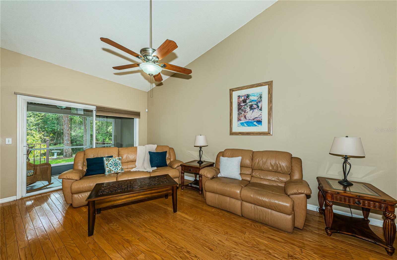 Property Photo:  4346 Brooker Creek Drive  FL 34685 