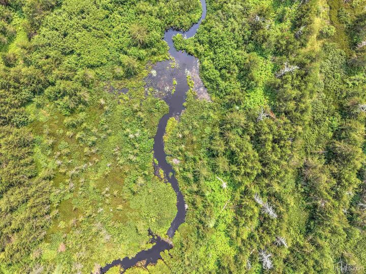 Property Photo:  Tbd Near Rice Lake &Amp Big Traverse Bay Rds Road  MI 49945 