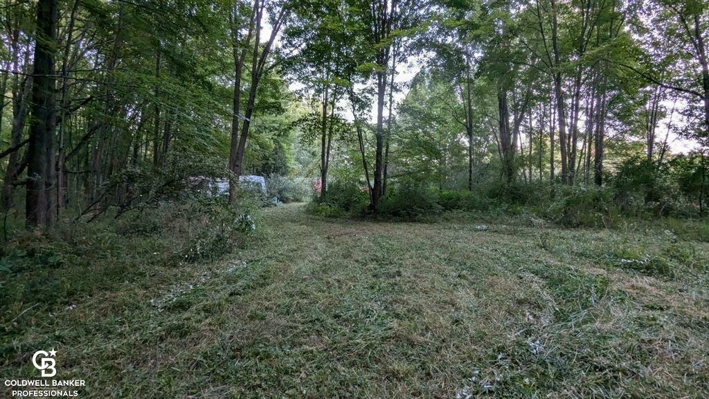 Property Photo:  13045 Foley Rd  MI 48022 