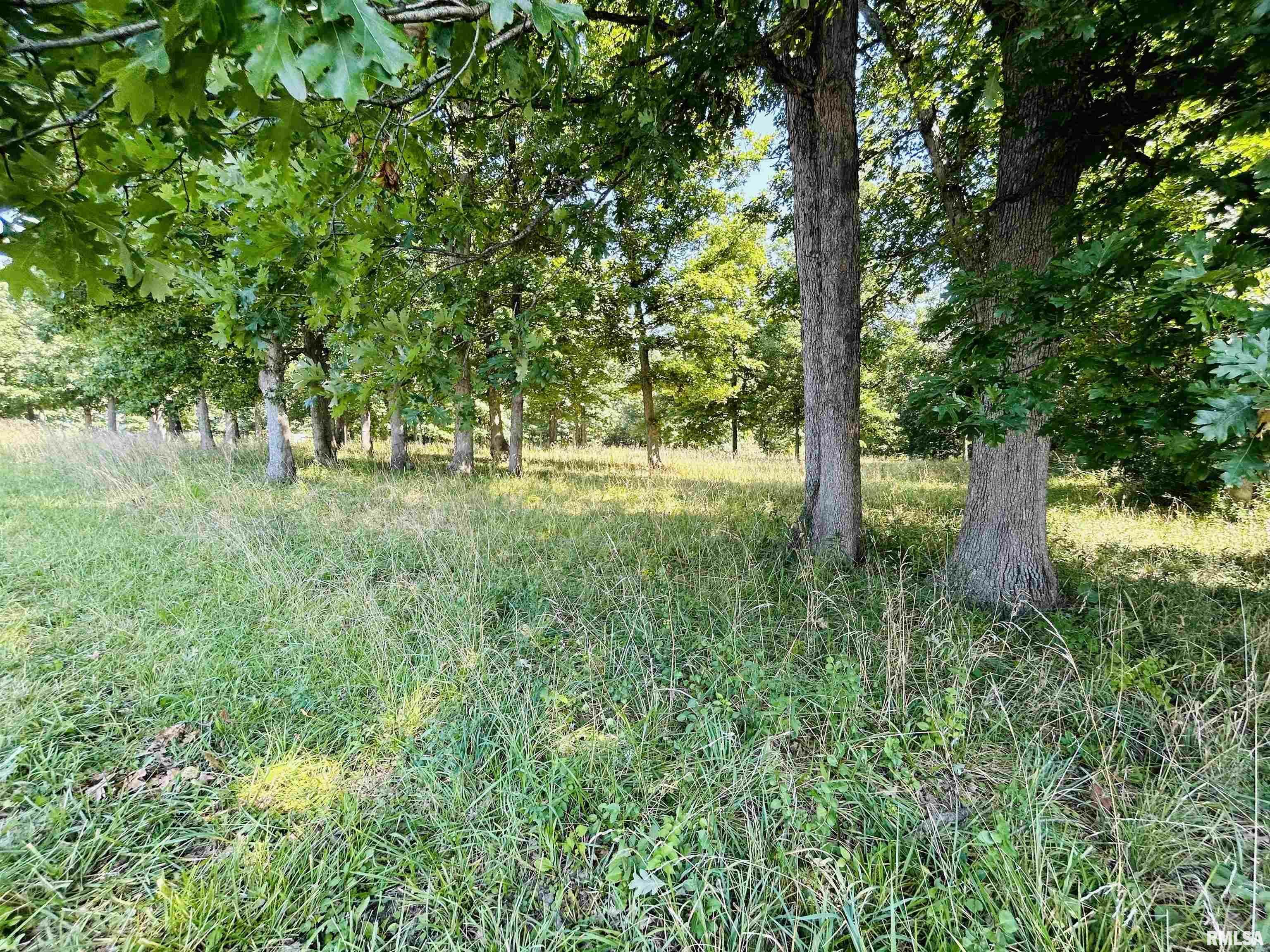 Property Photo:  24165 Cooper Road  IL 61550 