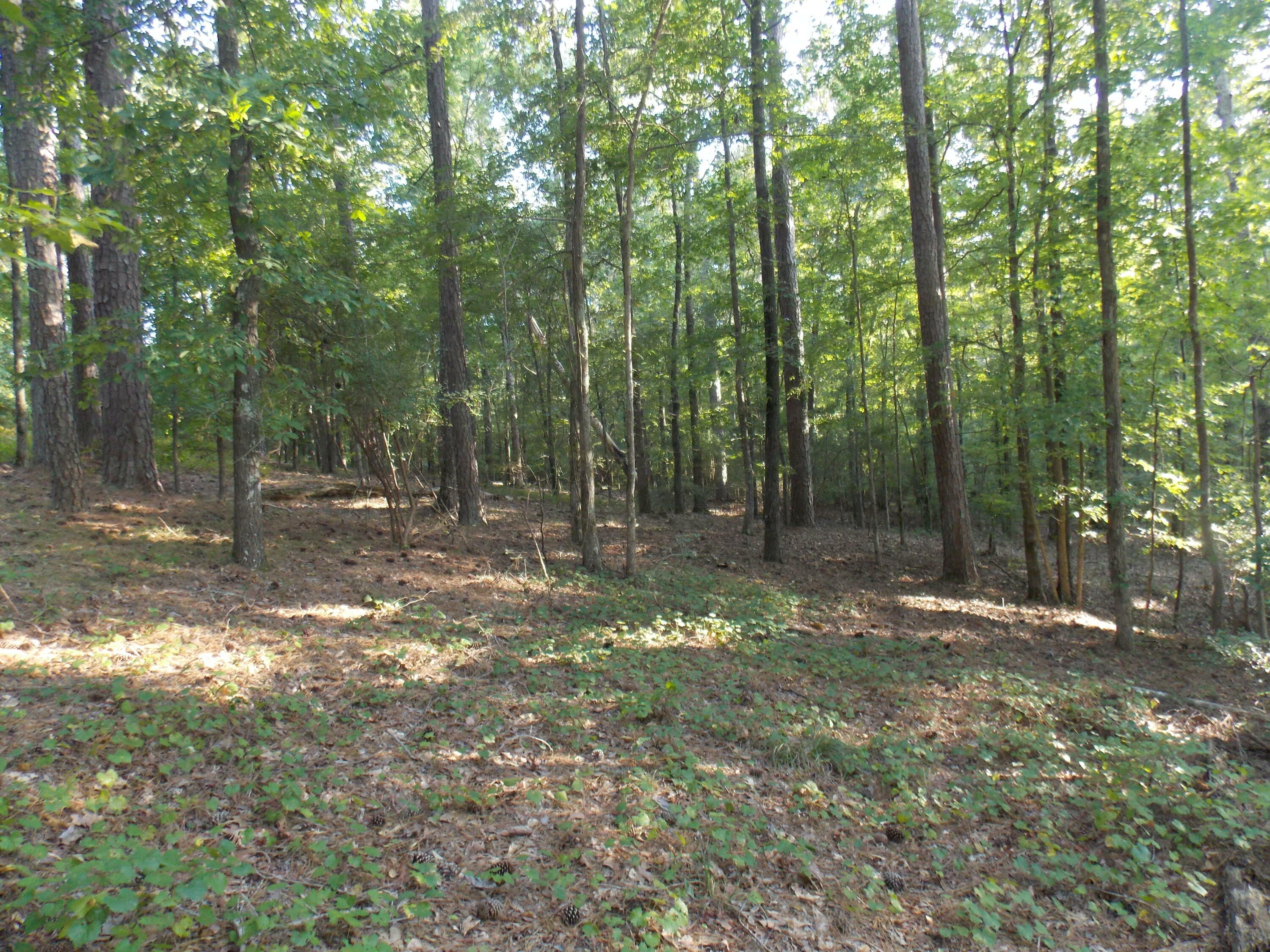 Property Photo:  59 Westwind Harbour Rd  GA 30817 