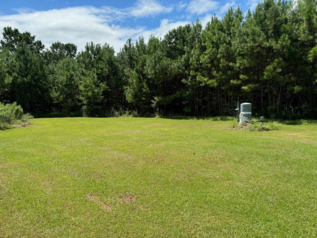 Property Photo:  352 Pine Forest Road  GA 31773 