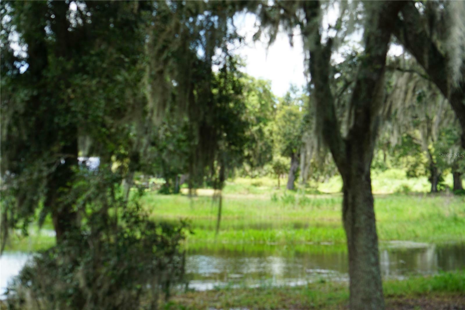 Property Photo:  Gallagher Road  FL 33565 