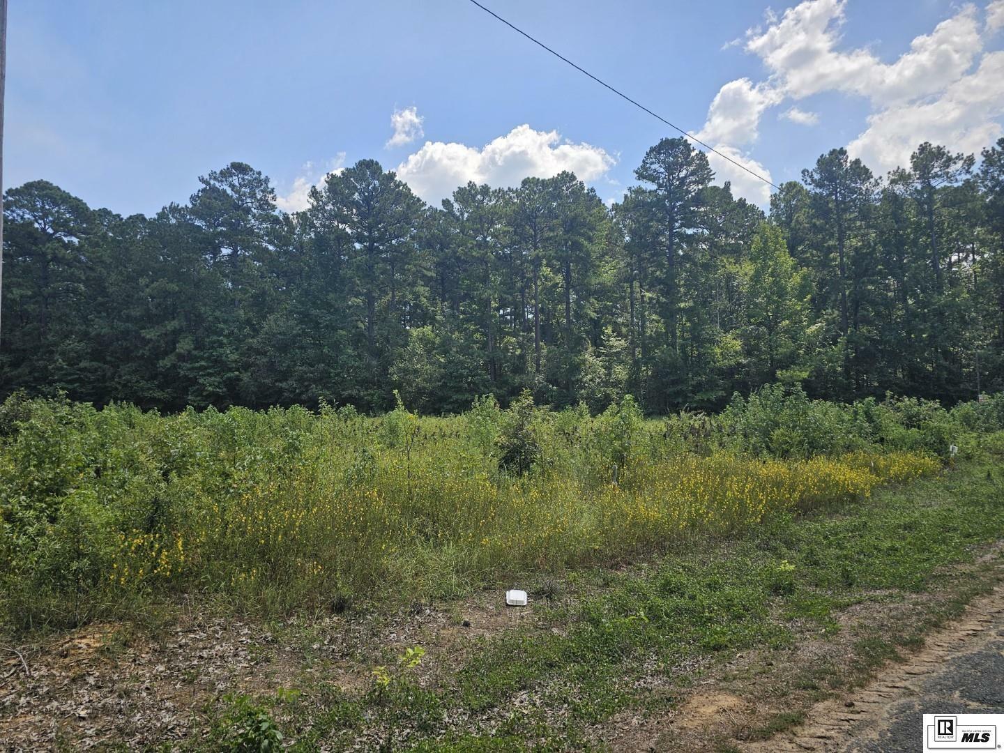 Property Photo:  0 Tom Sturdivant Road  LA 71292 