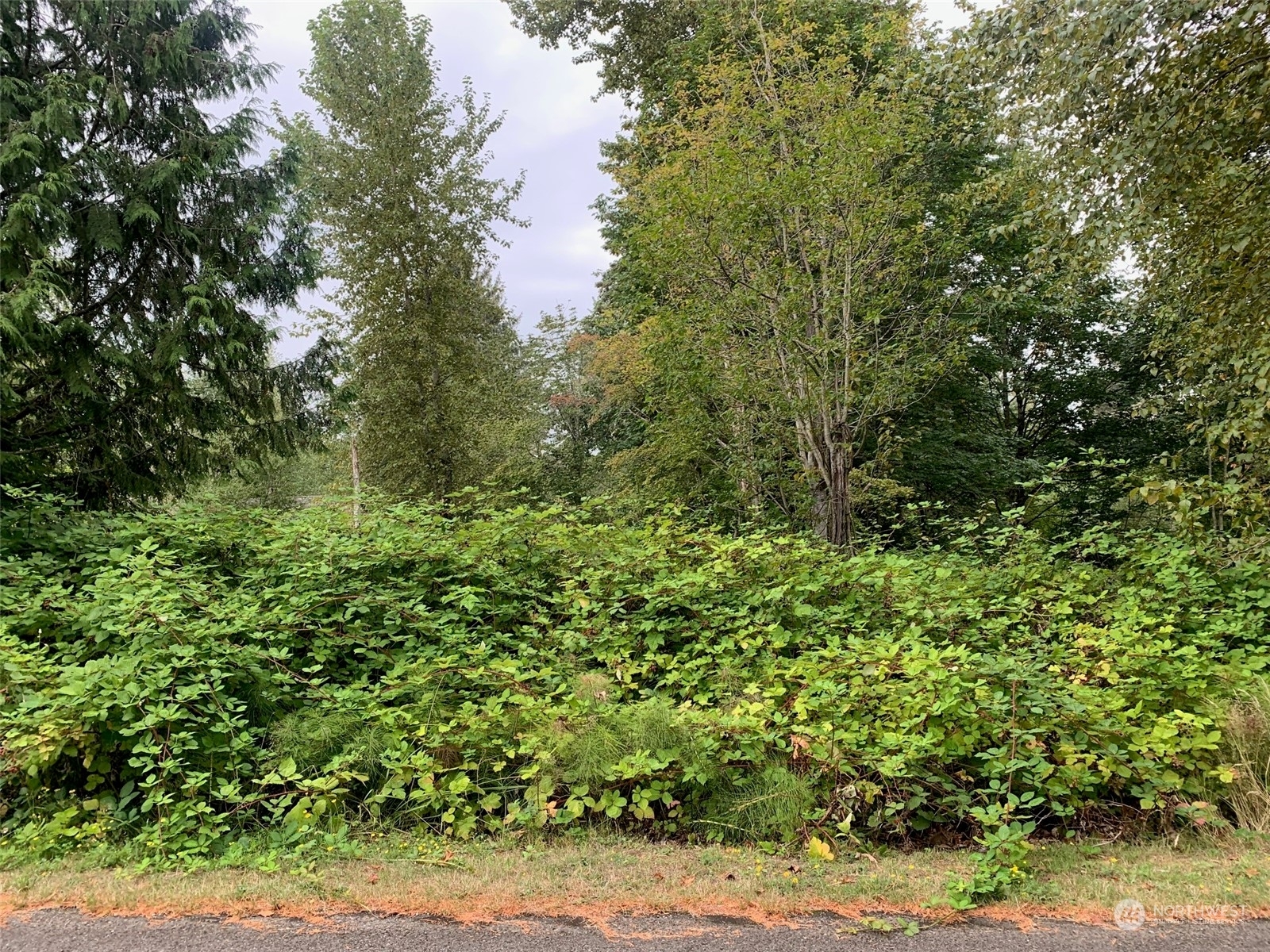 Property Photo:  264 Xx NE 51st Street  WA 98053 