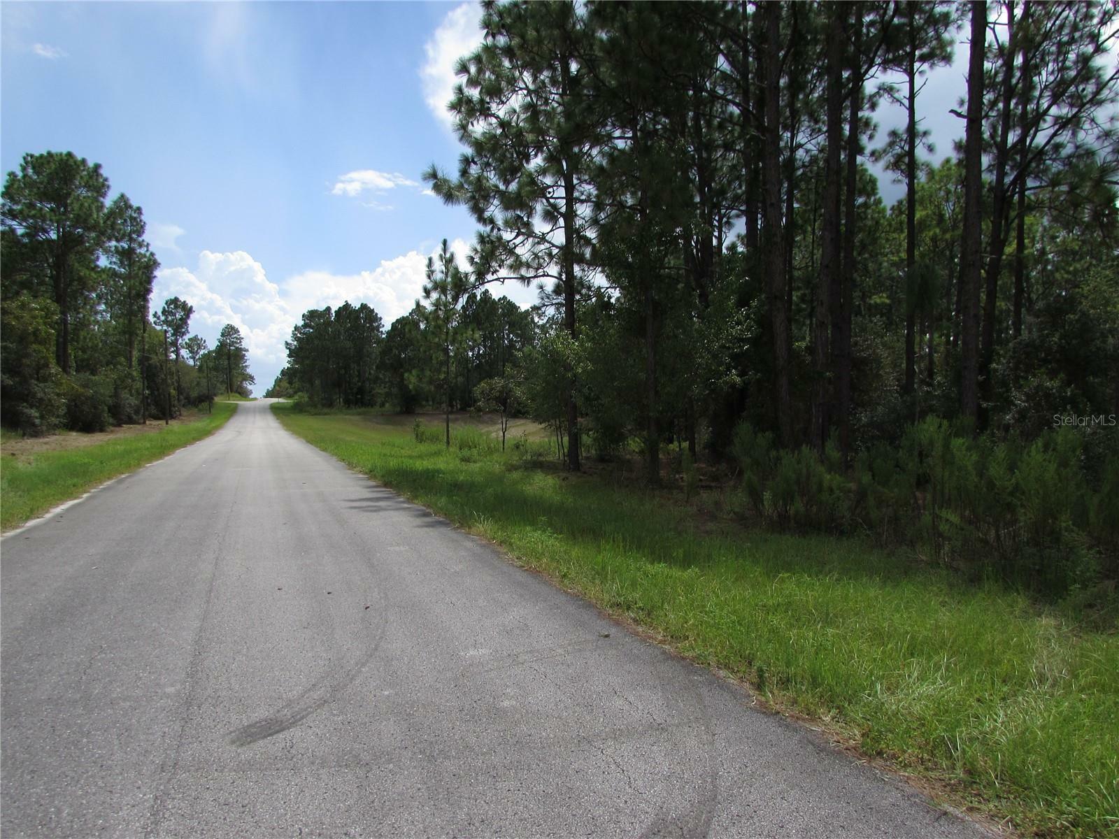 Property Photo:  Lot 19 SW 207 Court  FL 34431 