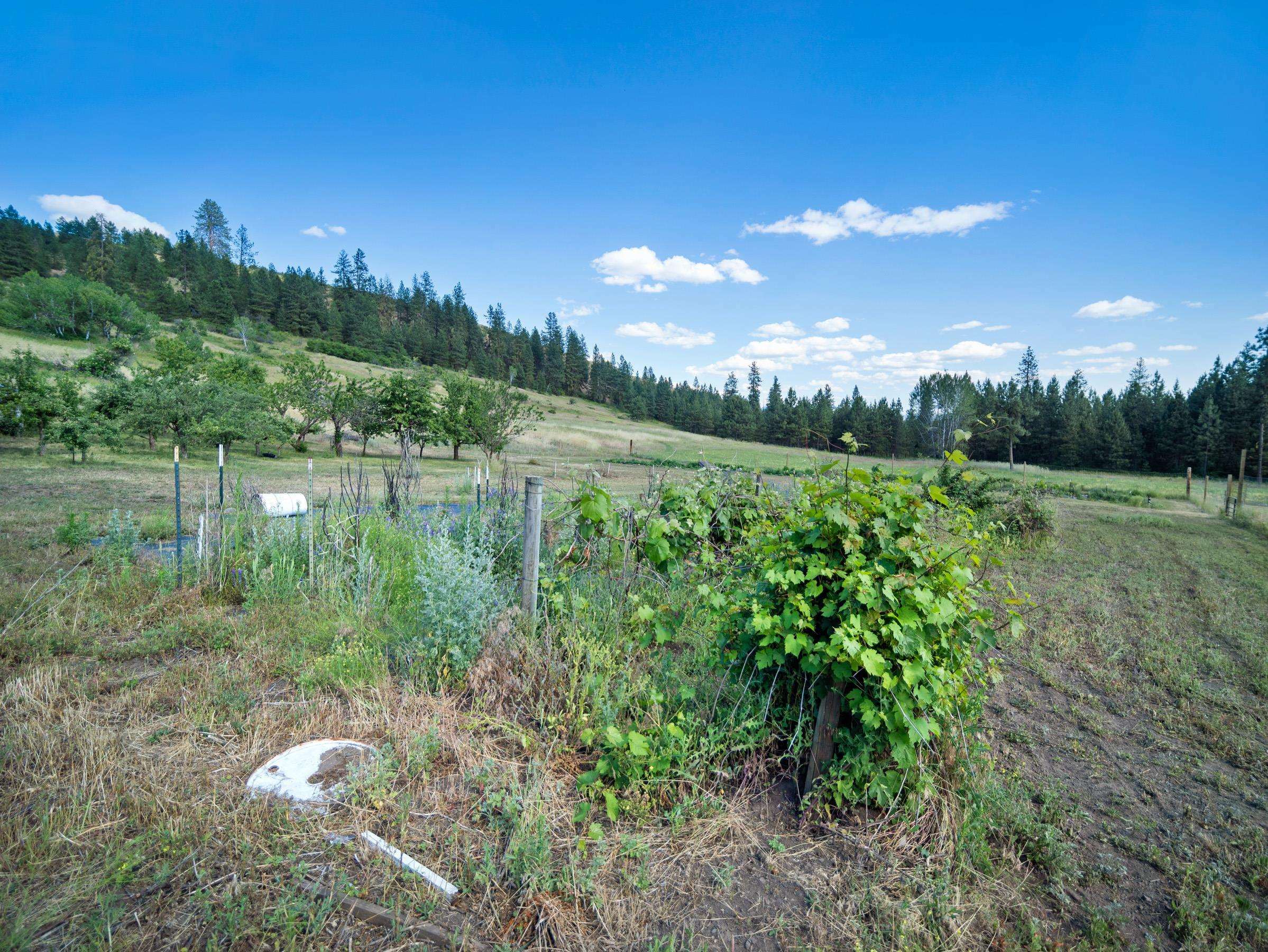 Property Photo: 26 Stray Dog Cyn WA 99138