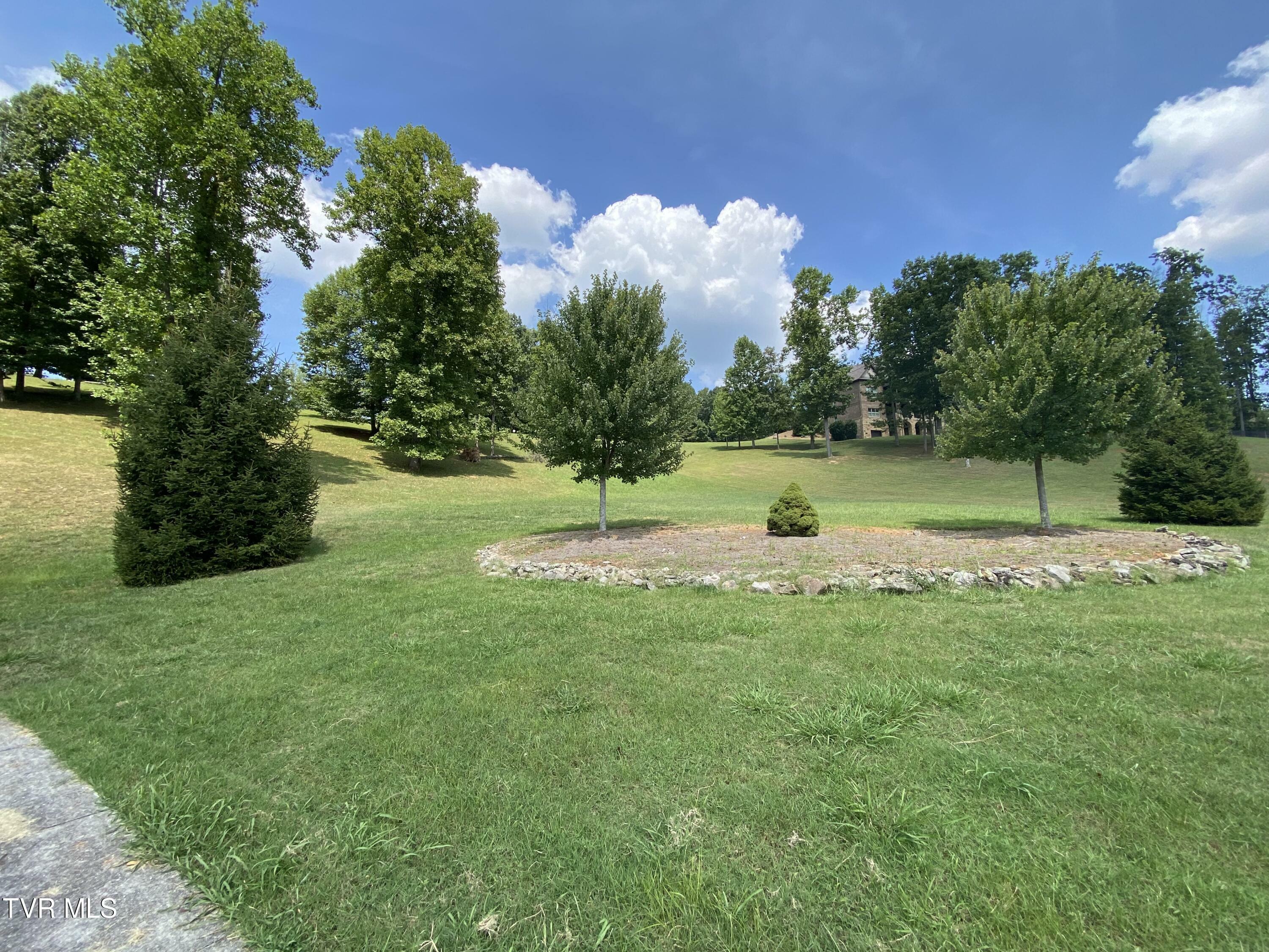 Property Photo:  1234 Ridgetop Trail  TN 37664 