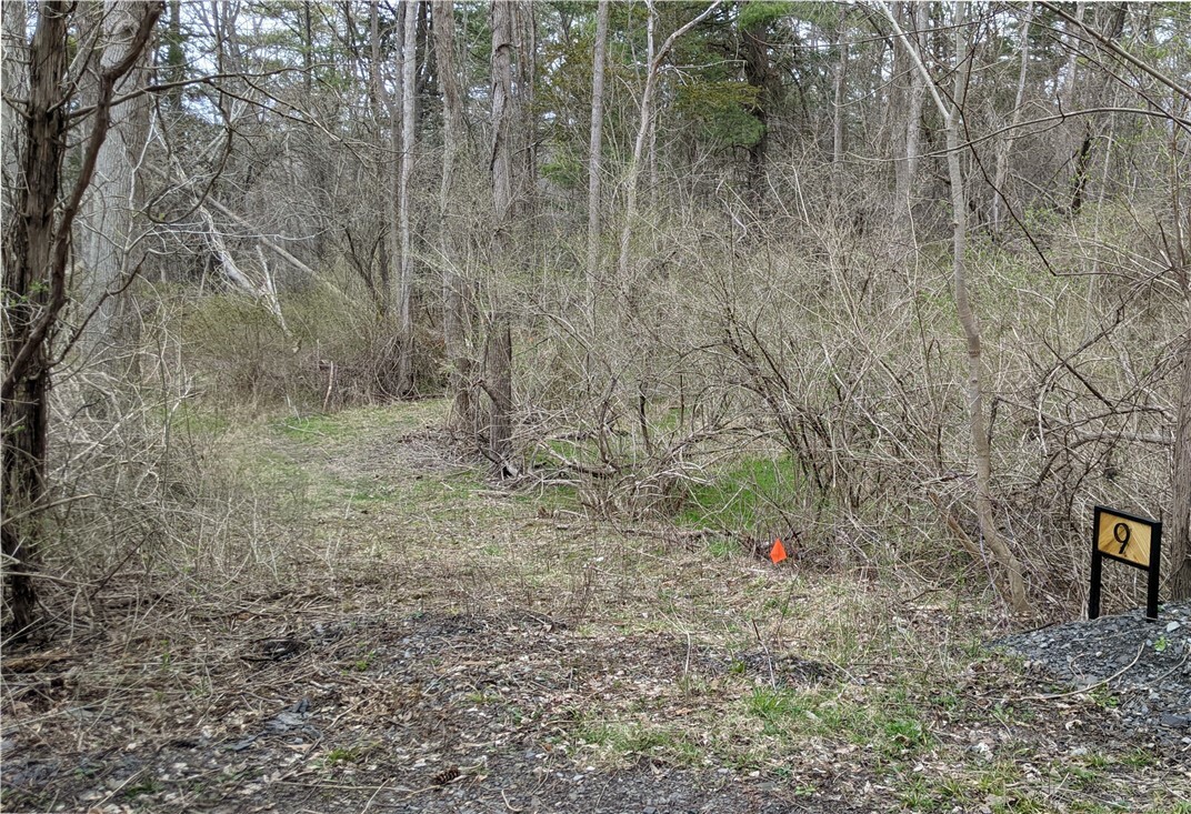 Property Photo:  9 Wilderness Road  NY 14882 