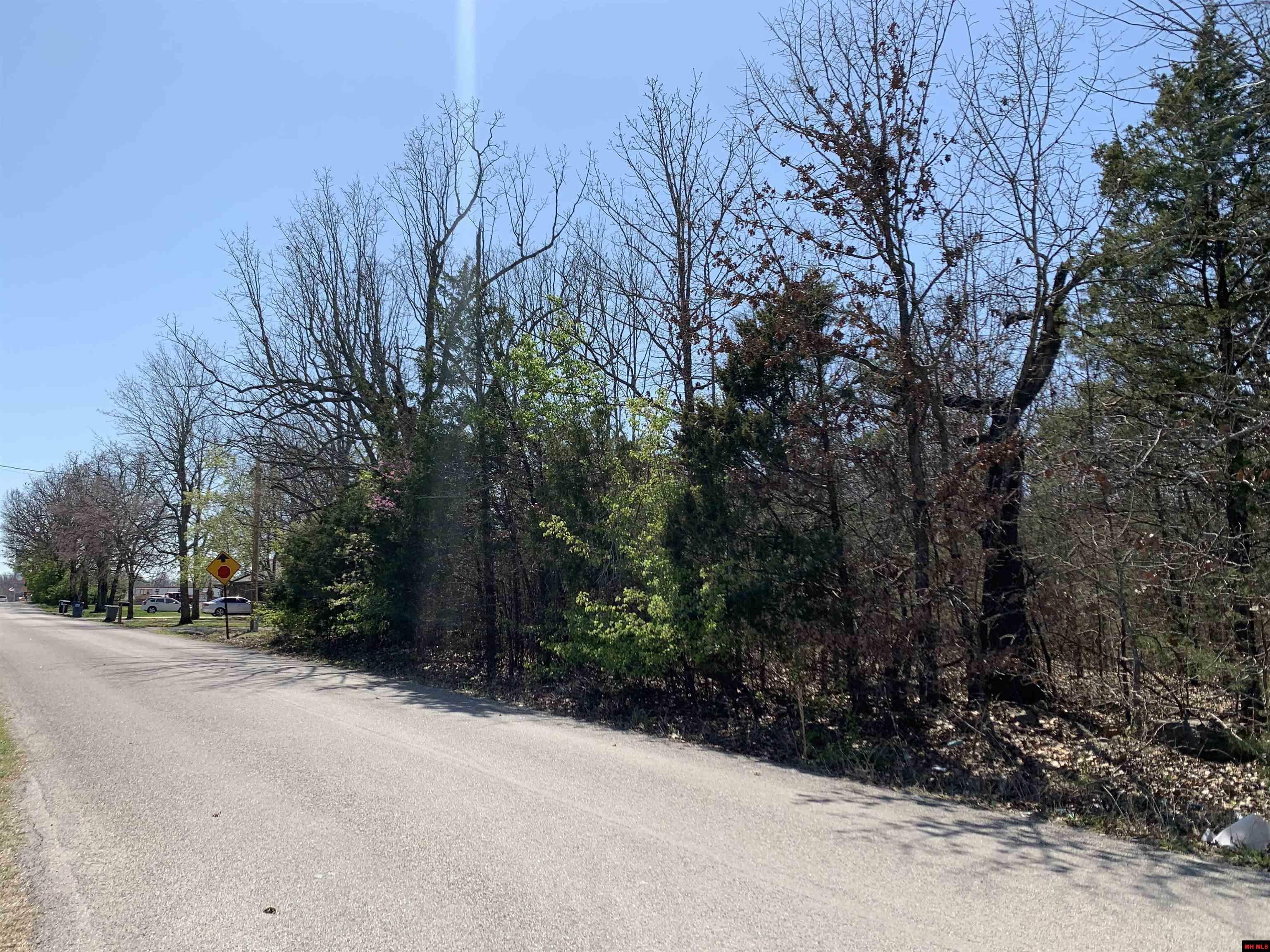 Property Photo: 002-09810-035 Pioneer Trail Drive AR 72653